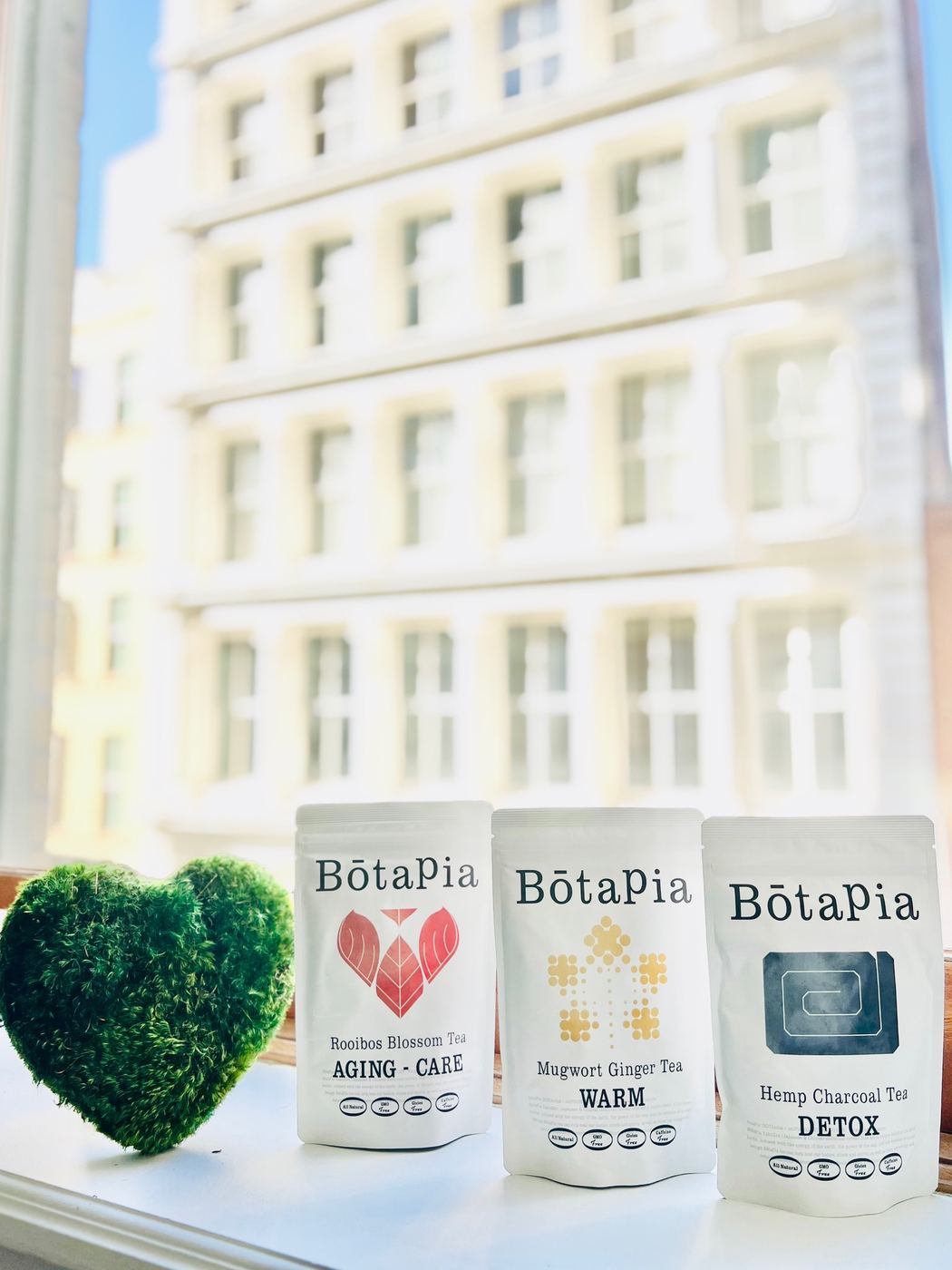 Three BōtaPia tea pouches on a sunny New York windowsill