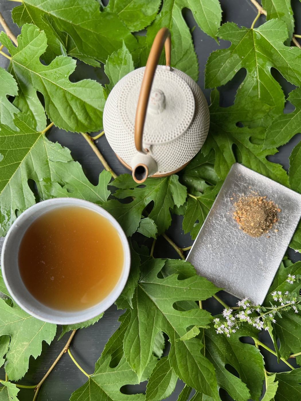 A cup of golden herbal tea and a white cast-iron teapot on fresh mulberry leaves