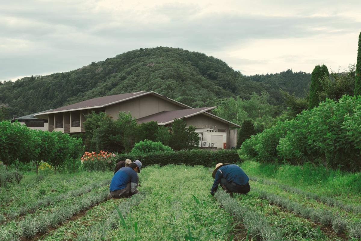 A farmer reads the soil