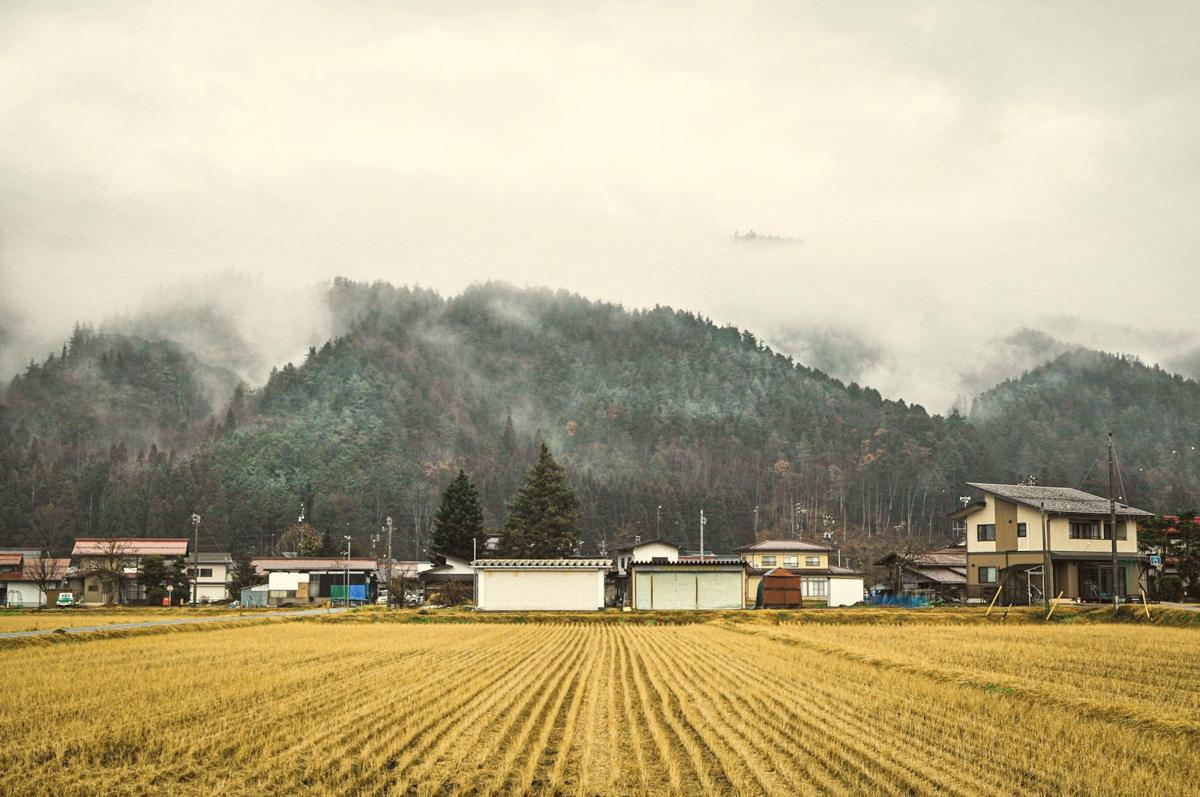 Rice — Snowmelt · paddies