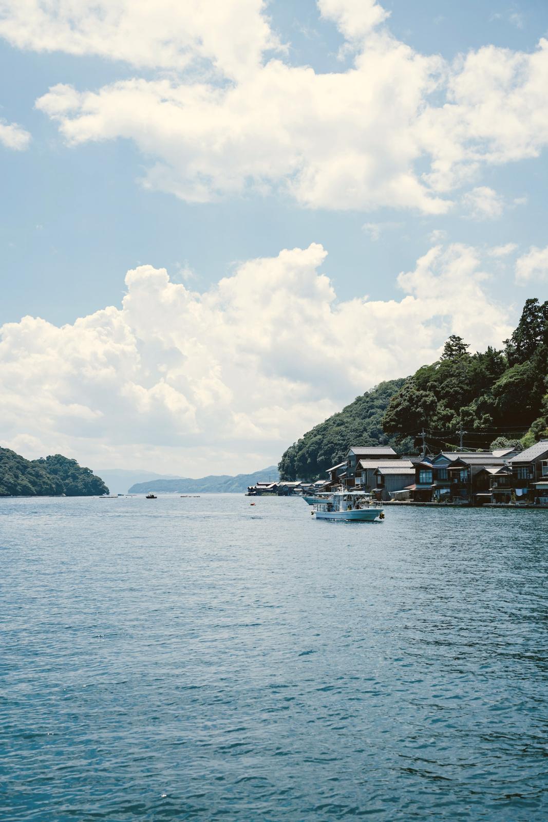 Sea — Fish · seaweed