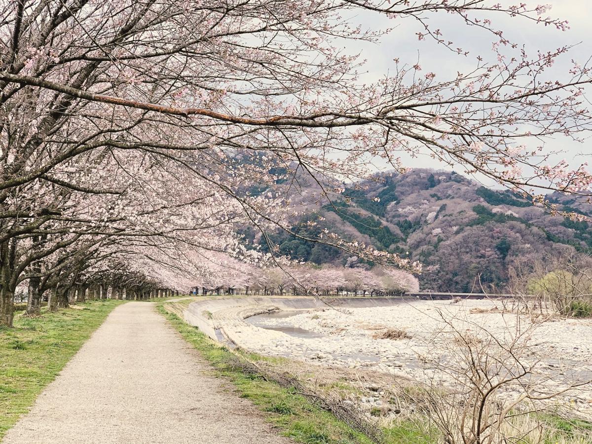 Spring