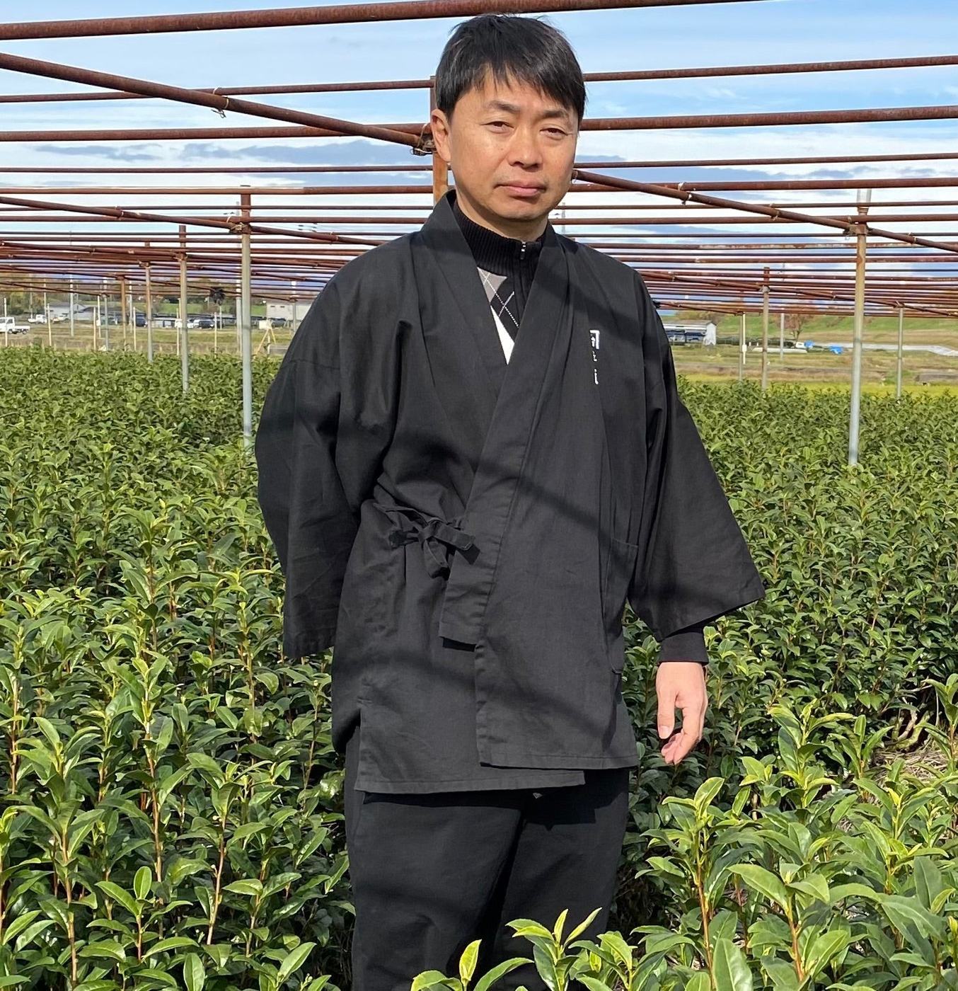 Tea bushes under shade frames